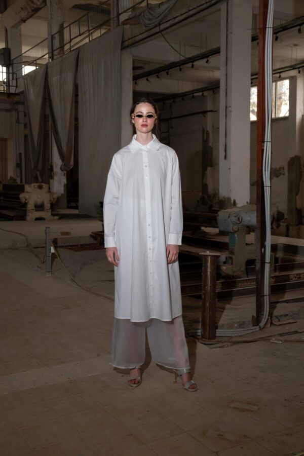 Alba shirt dress
